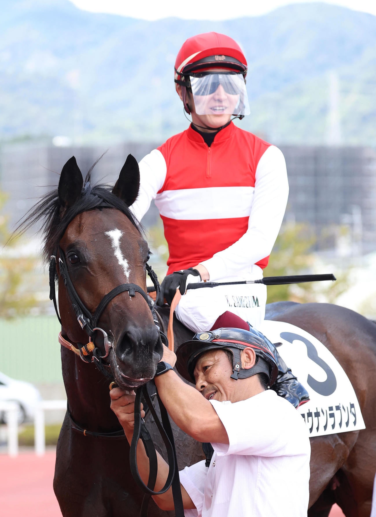 阪神5R、新馬戦を制したショウナンラプンタ（撮影・白石智彦）