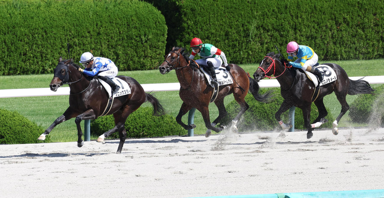 阪神4R、直線抜け出して新馬戦を快勝したソニックスター（左）（撮影・白石智彦）