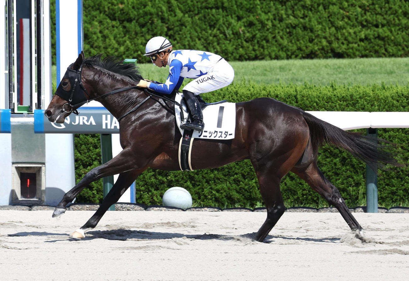 阪神4R、新馬戦を快勝したソニックスター（撮影・白石智彦）