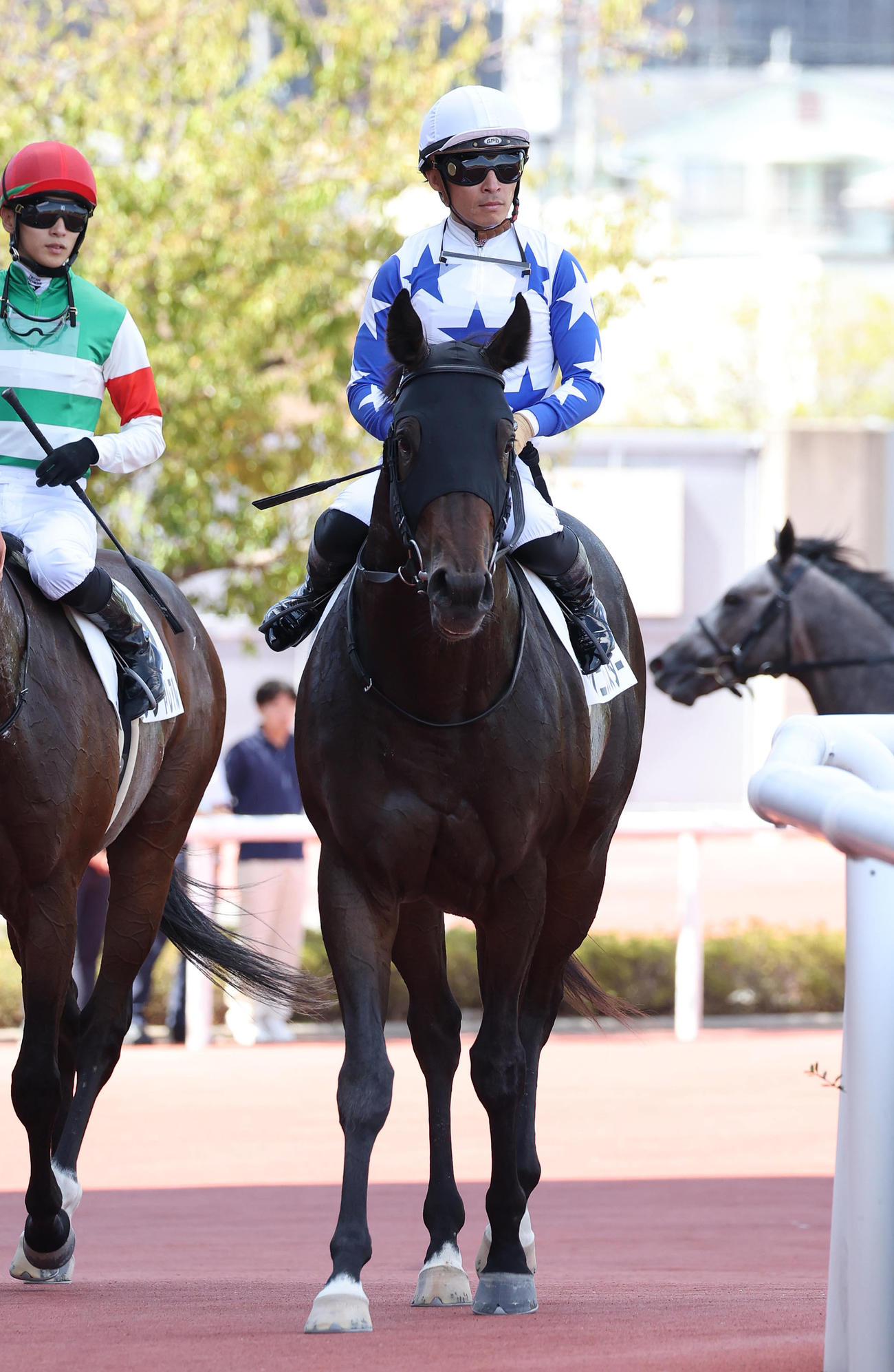 阪神4R、新馬戦を快勝したソニックスター（撮影・白石智彦）