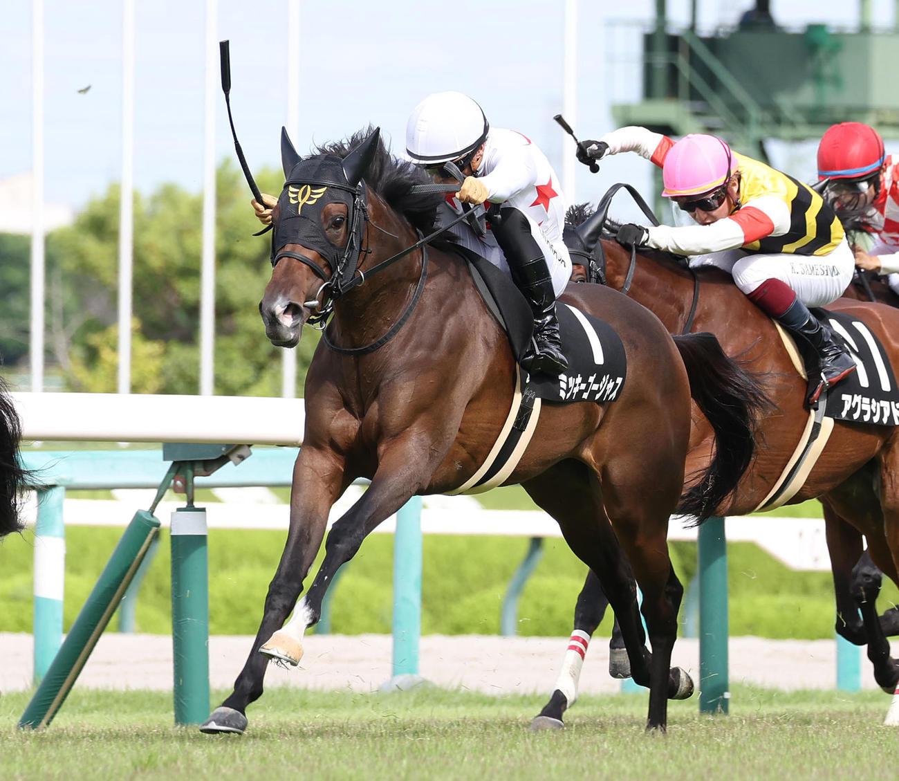 ゴール前差し切って夕月特別を制したミッキーゴージャス（撮影・白石智彦）