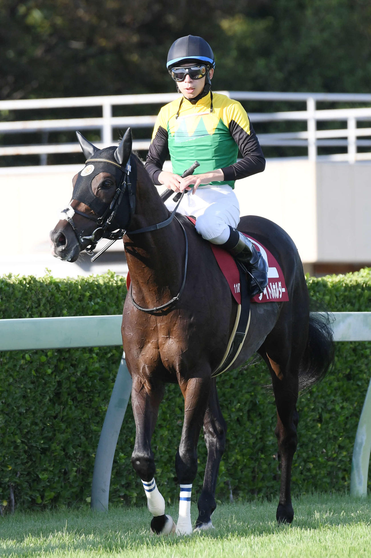 オールカマーで2着に敗れたタイトルホルダーと横山和騎手（撮影・柴田隆二）