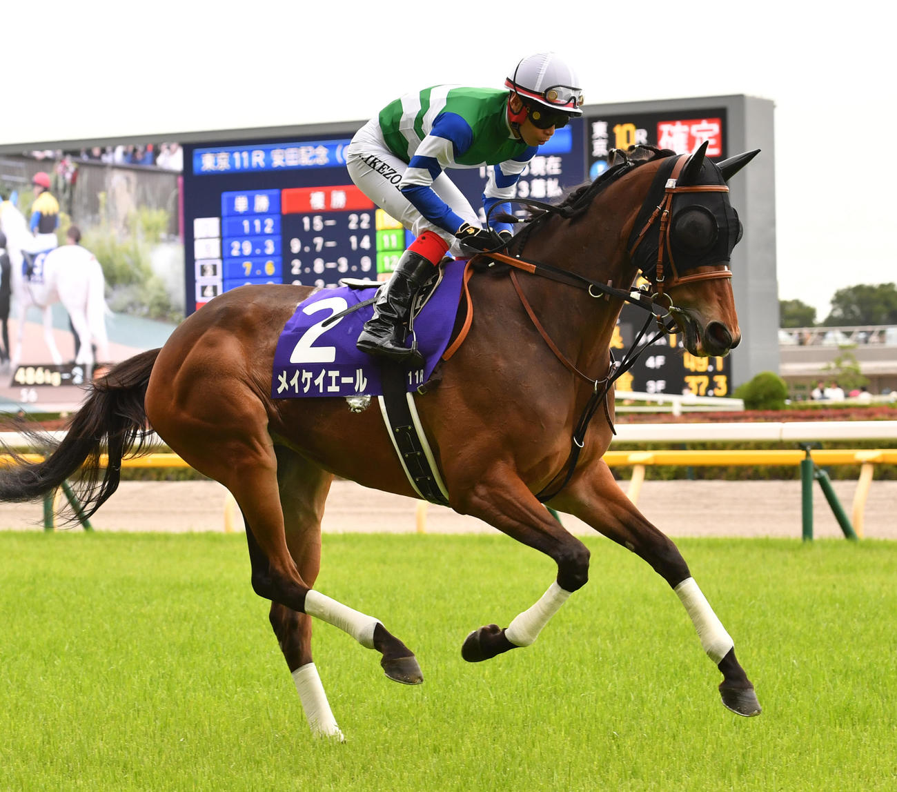 メイケイエールと池添謙一騎手（2023年6月4日撮影）