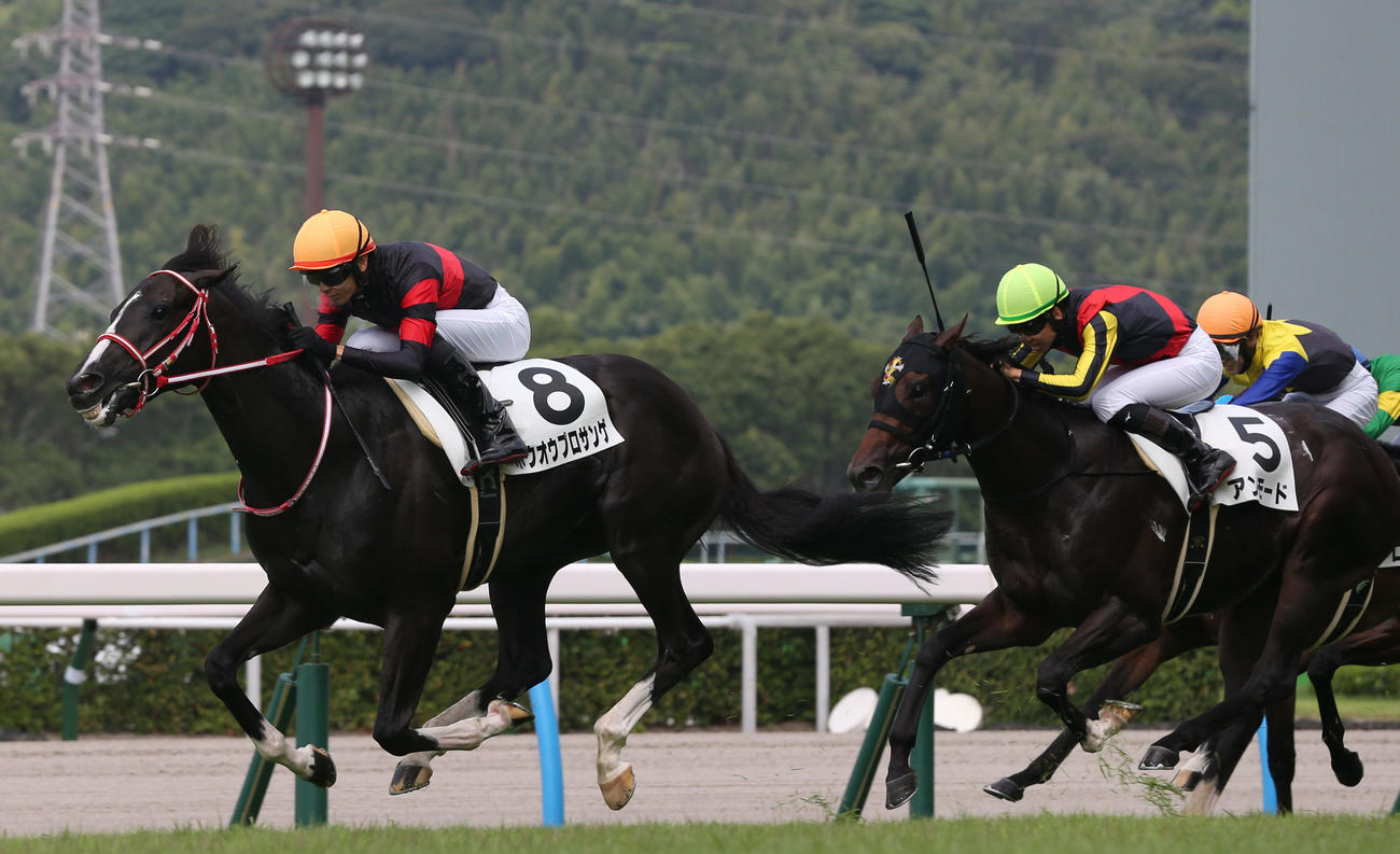8月13日　1R 2歳未勝利　1着8番ホウオウプロサンゲと坂井騎手は2歳未勝利を制す