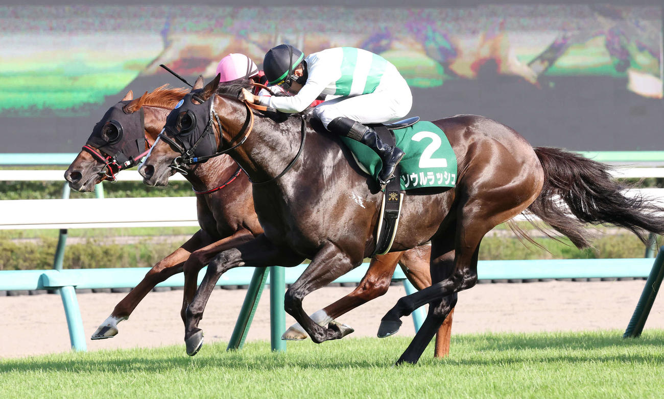 京成杯AHを制したソウルラッシュ（2023年9月10日撮影）