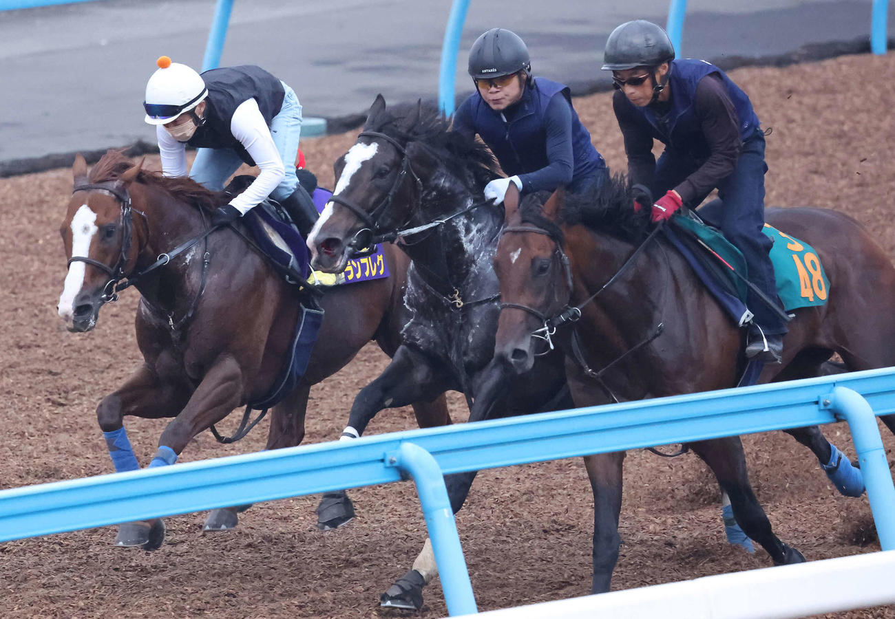 ナランフレグ（左）は丸田騎手を背に美浦ウッドを3頭併せで追い切られた（撮影・丹羽敏通）
