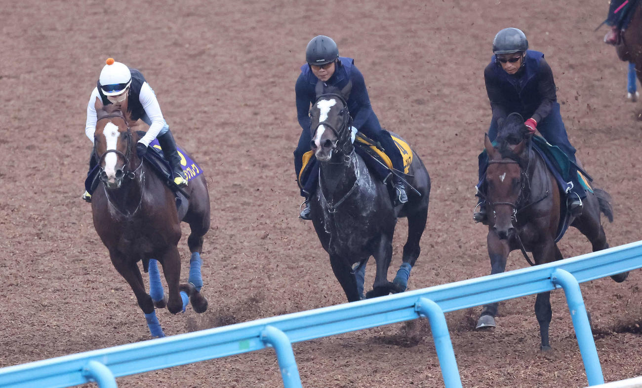 ナランフレグ（左）は丸田騎手を背に美浦ウッドを3頭併せで追い切られた（撮影・丹羽敏通）