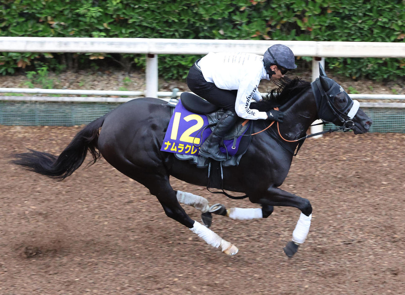 坂路を単走で追い切るナムラクレア（撮影・白石智彦）