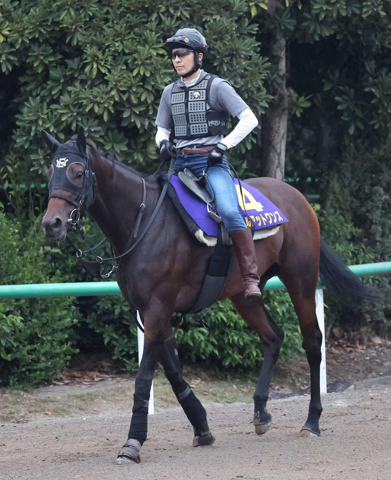 馬場へ向かうオールアットワンス（撮影・丹羽敏通）