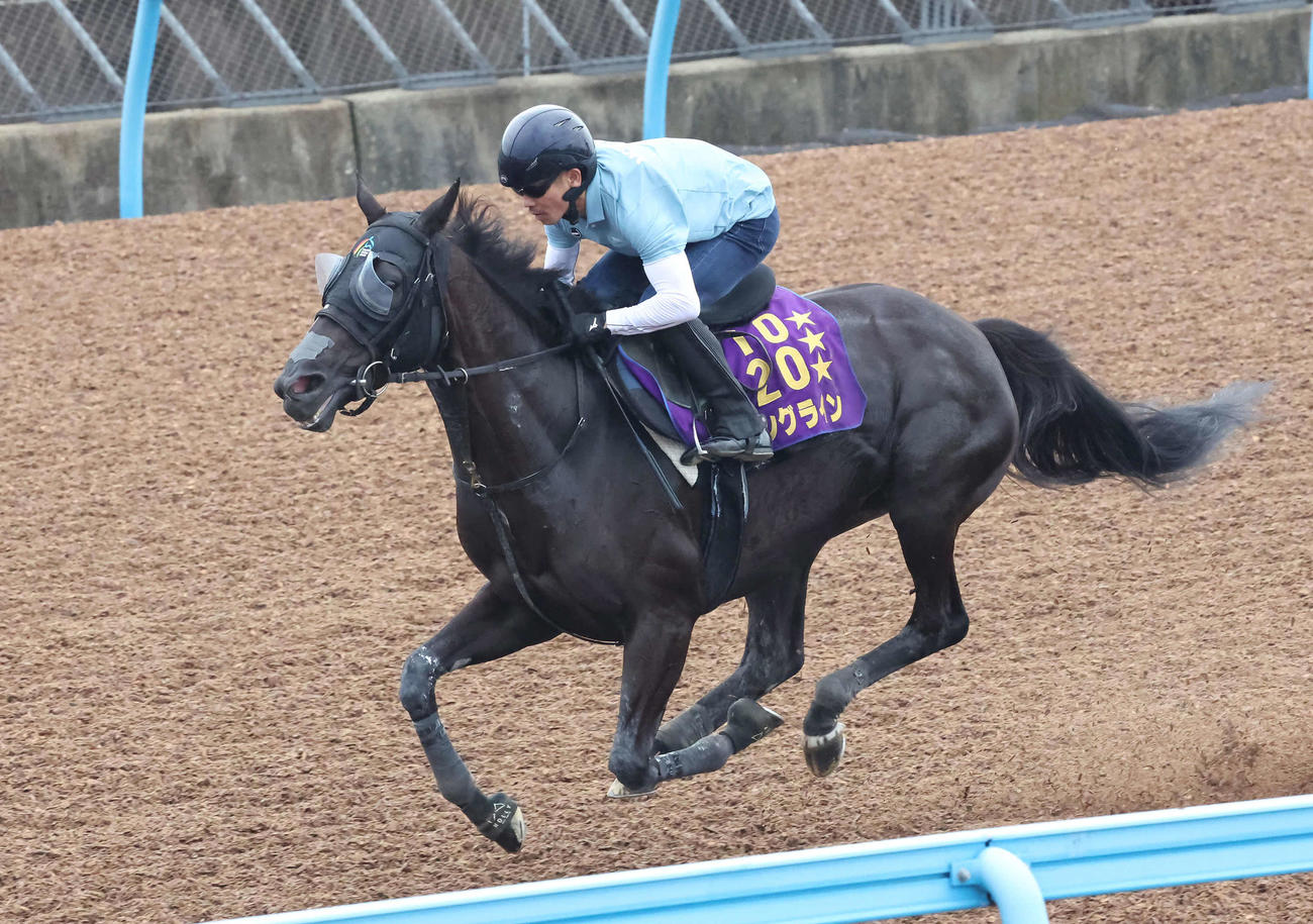 ソングラインは戸崎騎手を背に美浦ウッドを力強いフットワークで駆け抜けた（撮影・丹羽敏通）