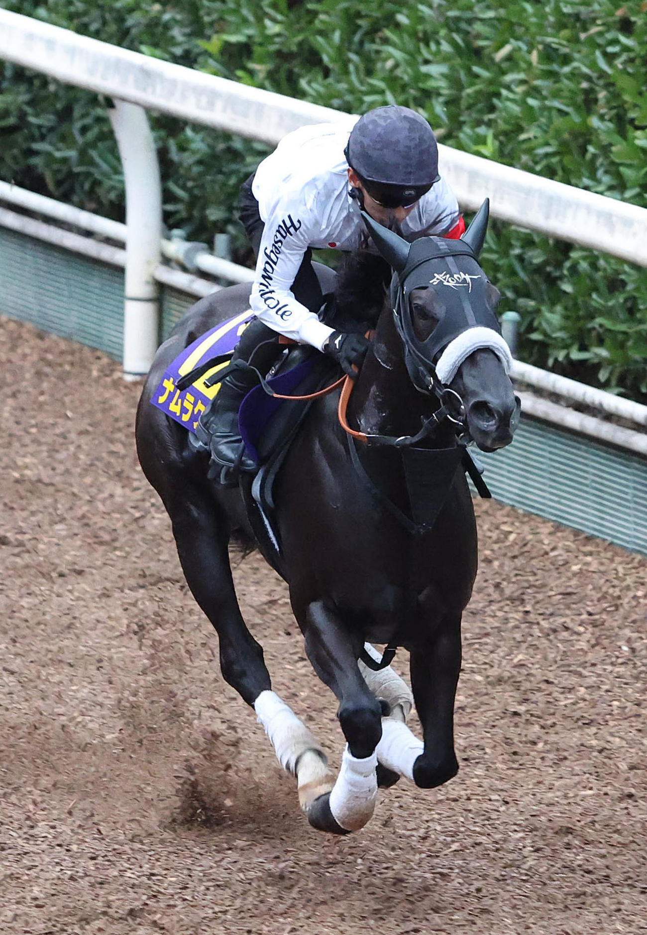 坂路を単走で追い切るナムラクレア（撮影・白石智彦）