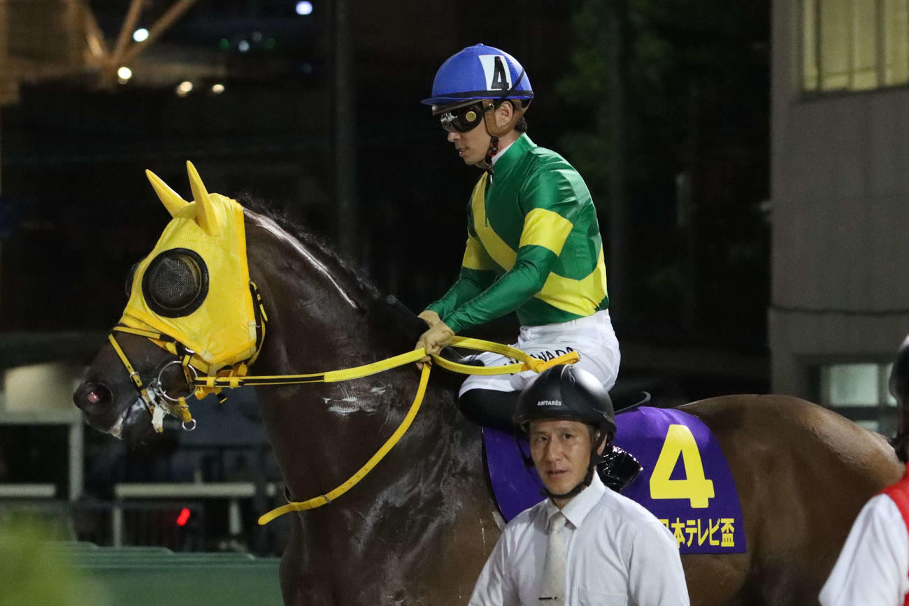 本馬場に向かうウシュバテソーロ