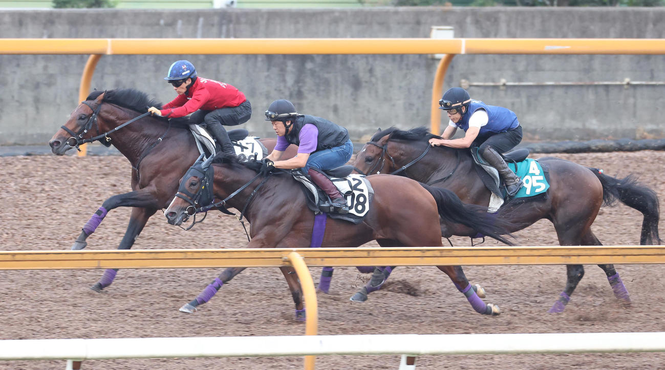 川田騎手を背にCWコースで3頭併せで追い切るヒートオンビート（左）