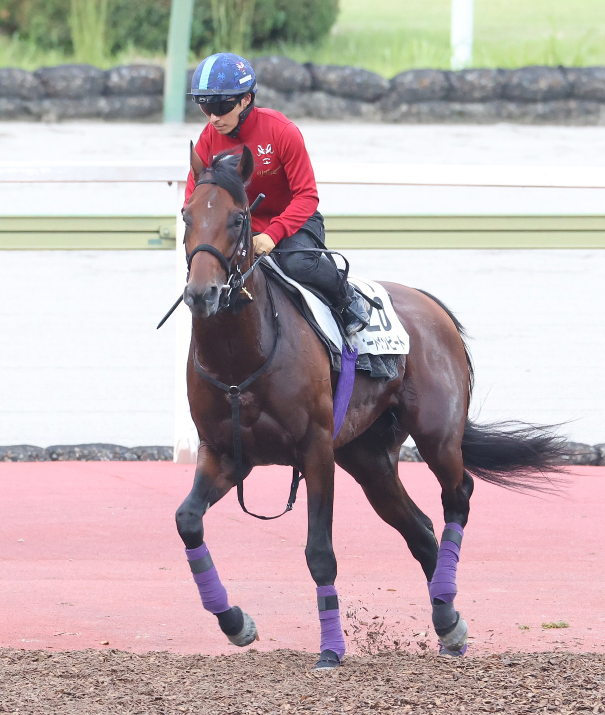 川田騎手を背にコースへ出るヒートオンビート