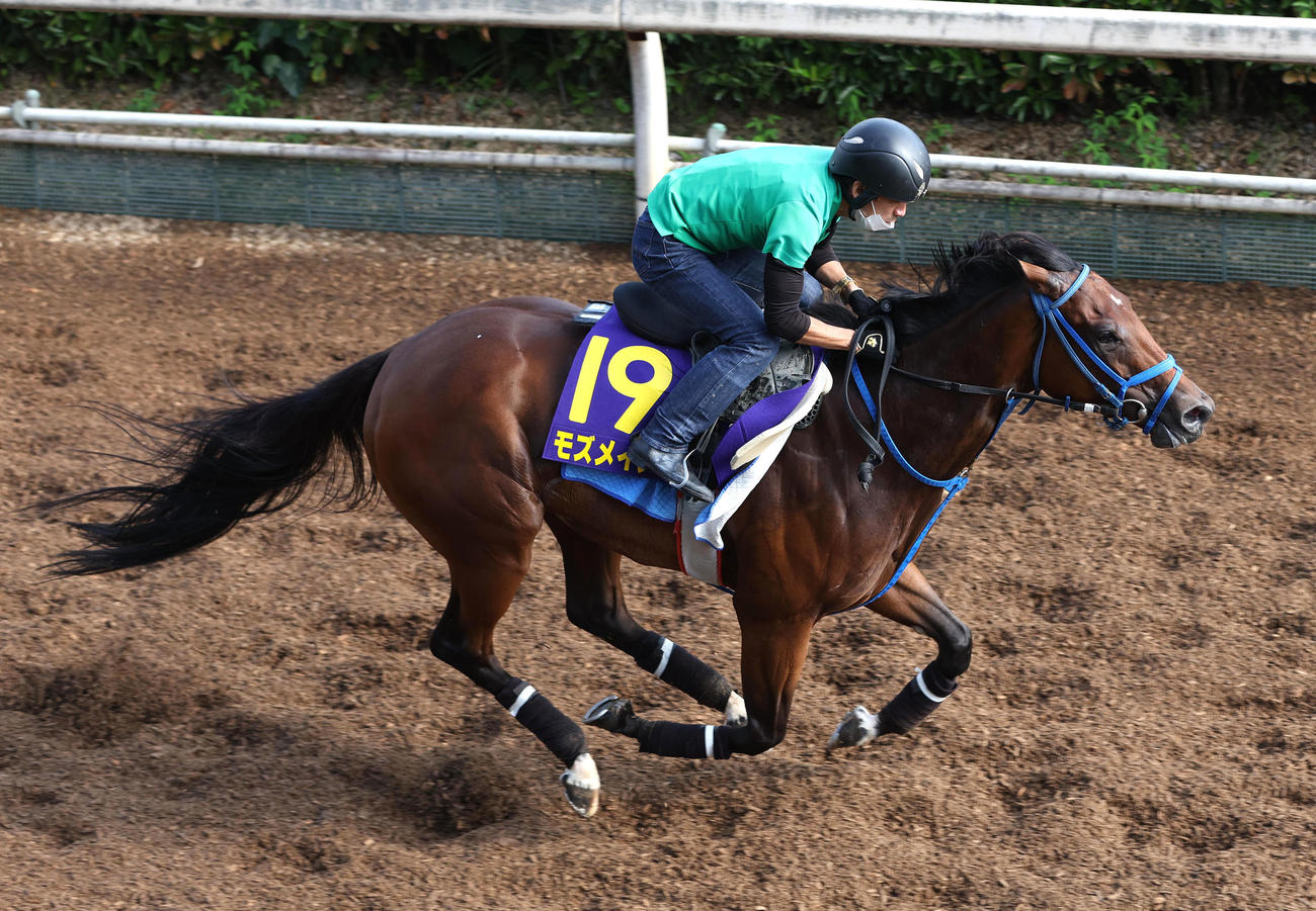 坂路を併せ馬で追い切るモズメイメイ（撮影・白石智彦）