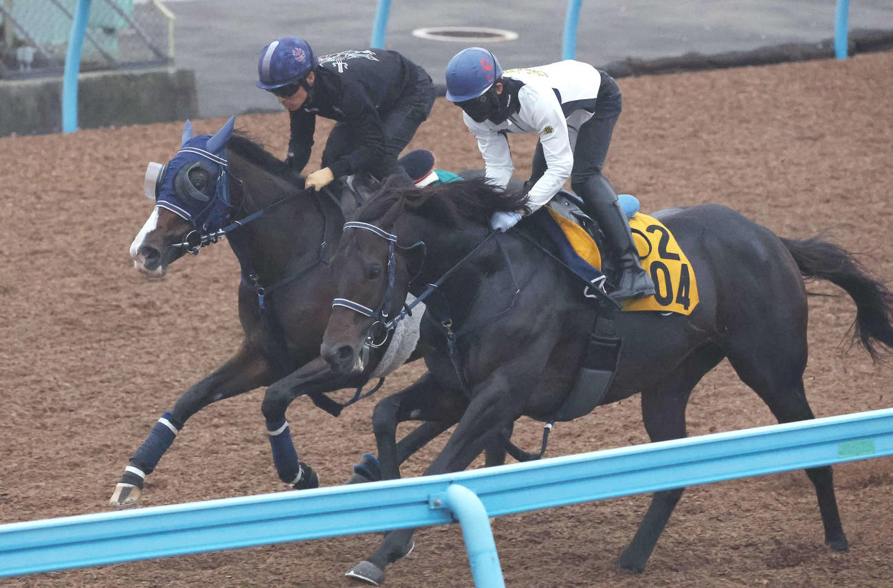 ボンドガール（左）は川田騎手を背に美浦ウッドでヴァーンフリートと併せて追い切られた（撮影・丹羽敏通）