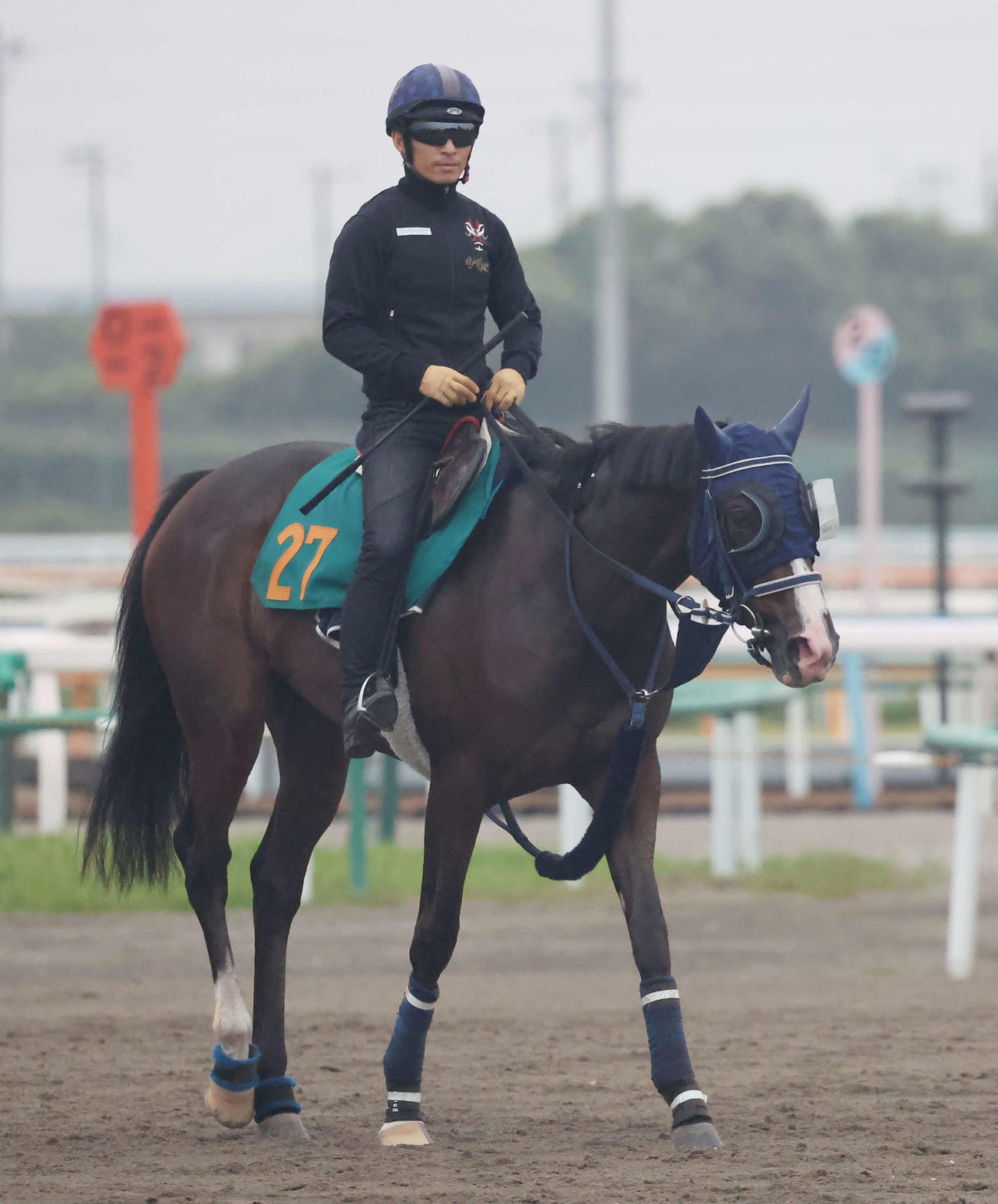 追い切りを終えて馬場を出るボンドガールと川田騎手（撮影・丹羽敏通）