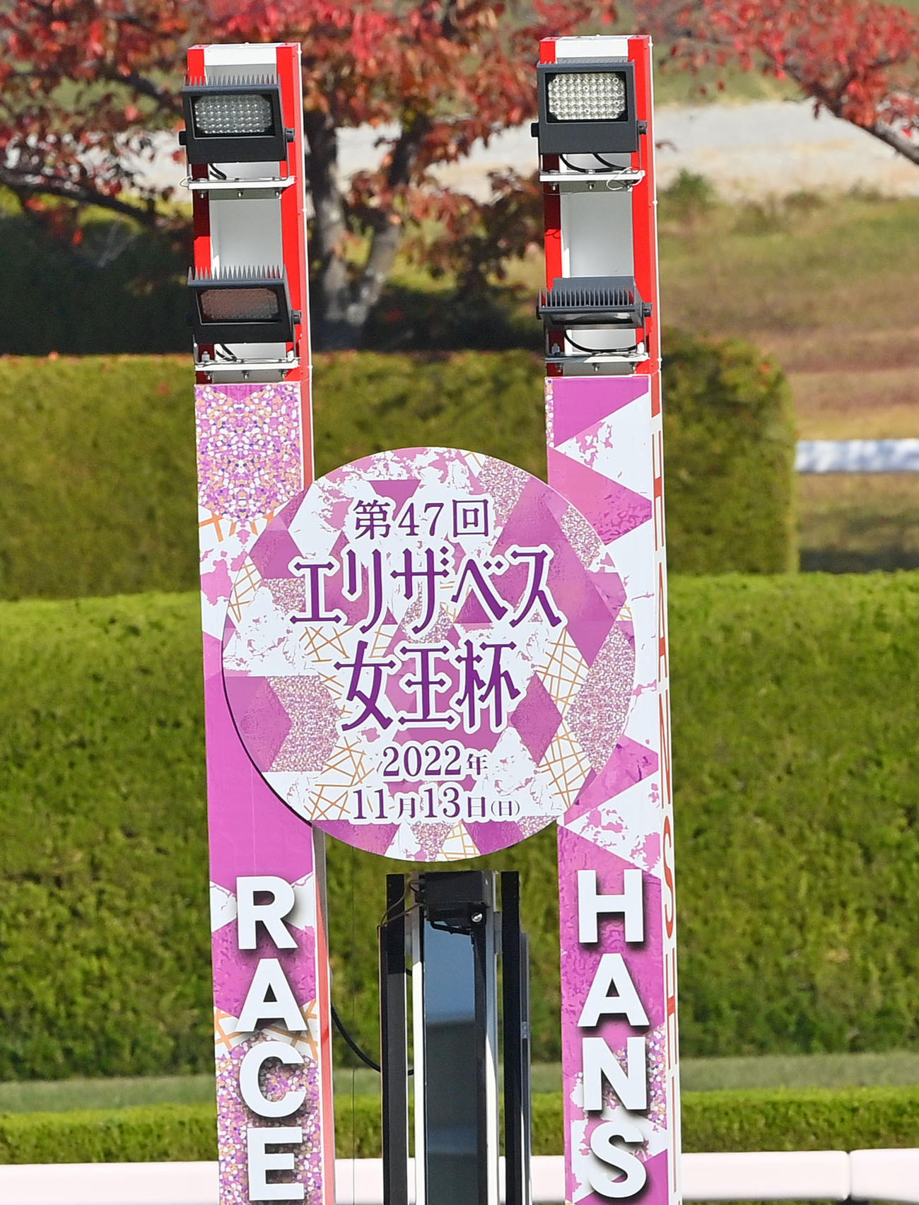 22年のエリザベス女王杯ゴール板