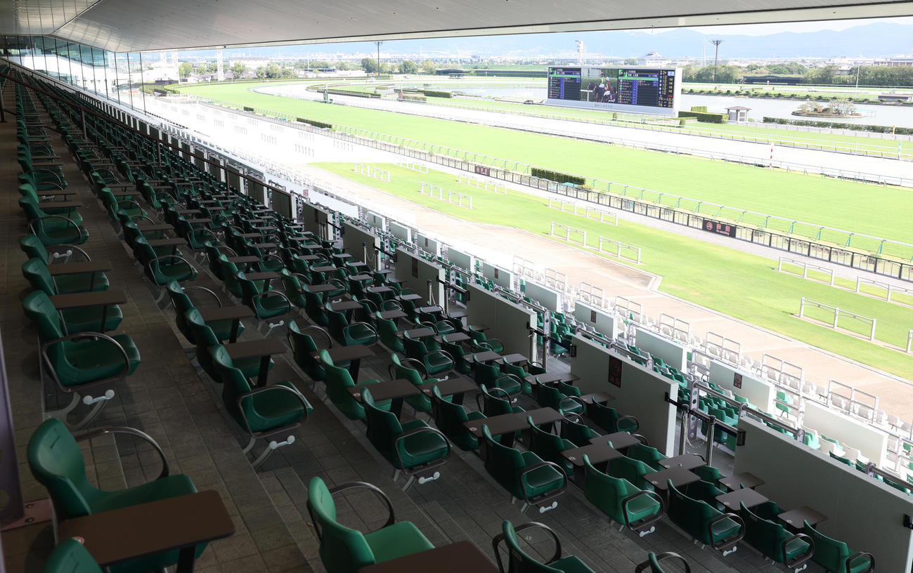 京都競馬場の4Fシニアシート
