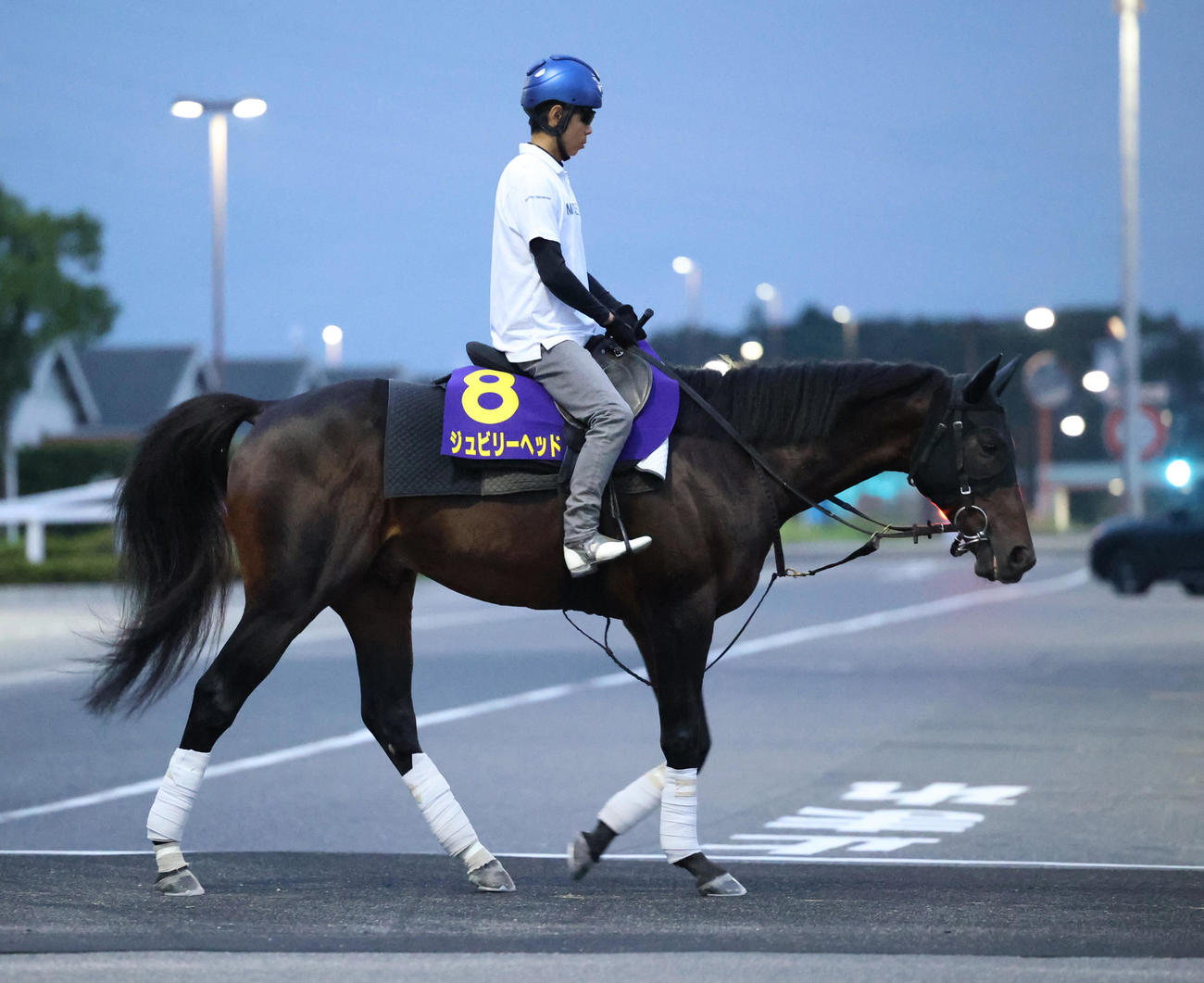 27日、北村友騎手を背に追い切りへ向かうジュビリーヘッド