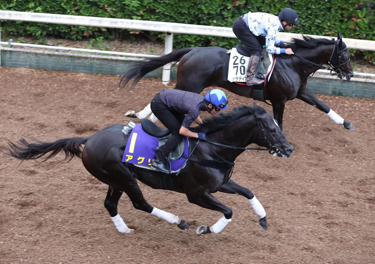 27日、横山典騎手を背に坂路をグラティアス（右）と併せ馬で追い切るアグリ