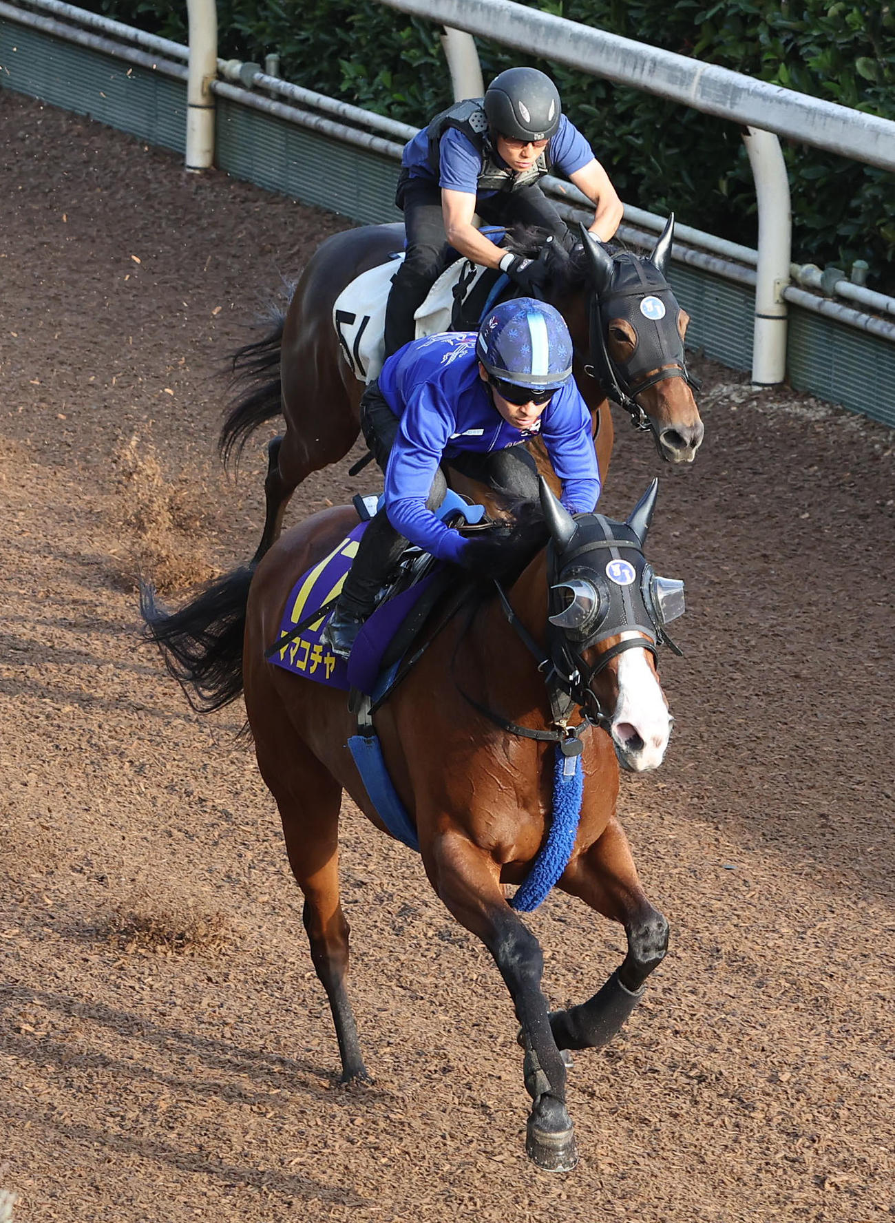 27日、川田騎手を背に坂路をアステロイドベルト（奥）と併せ馬で追い切るママコチャ