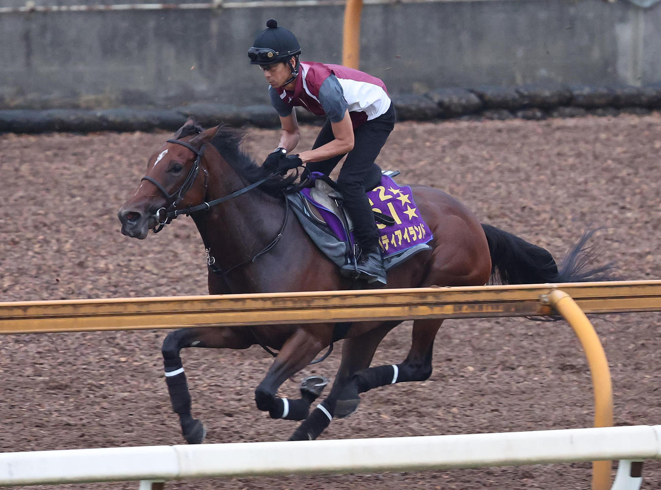 Cウッドを単走で追い切るリバティアイランド（撮影・白石智彦）