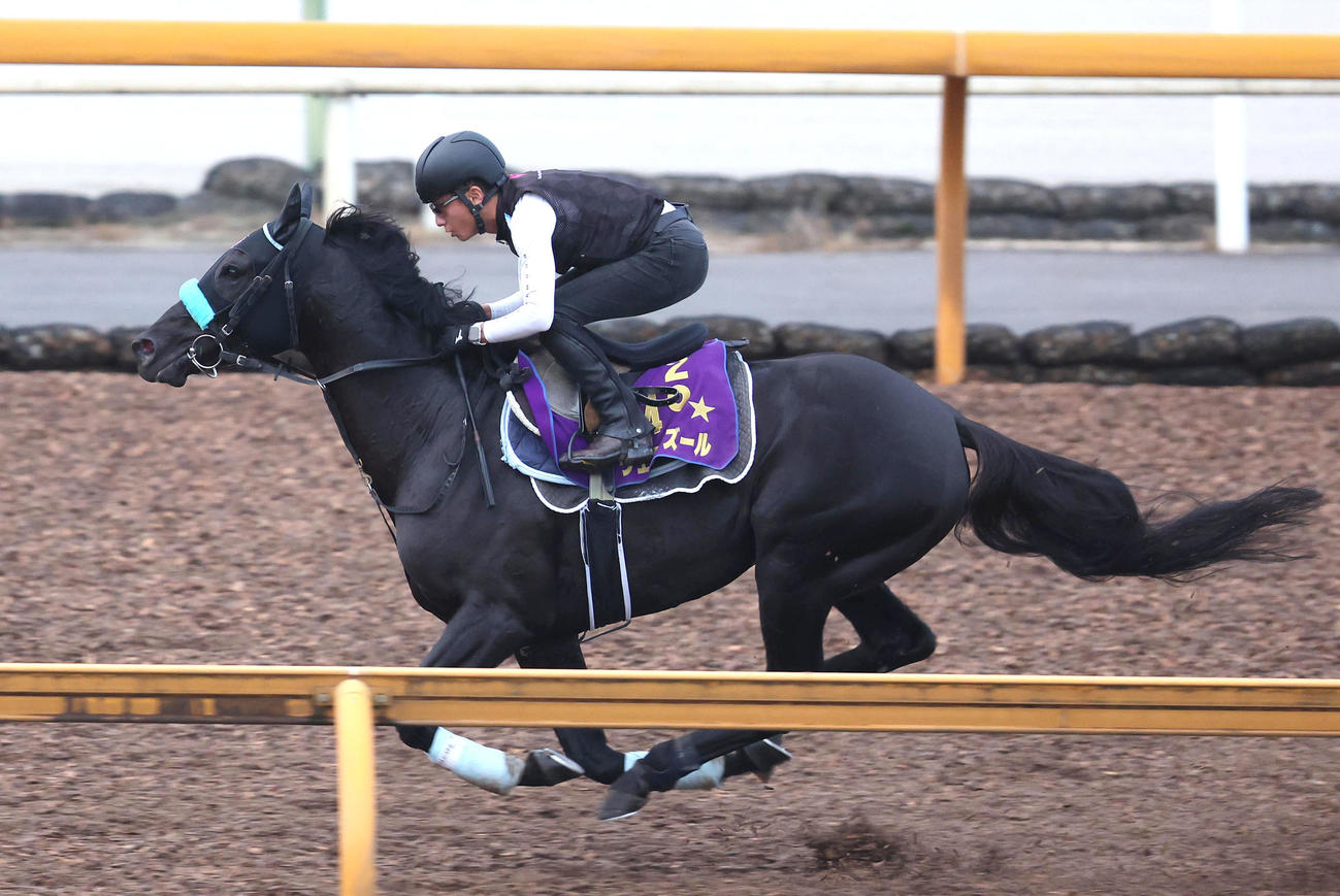 Cウッドを単走で追い切るヴェラアズール（撮影・白石智彦）