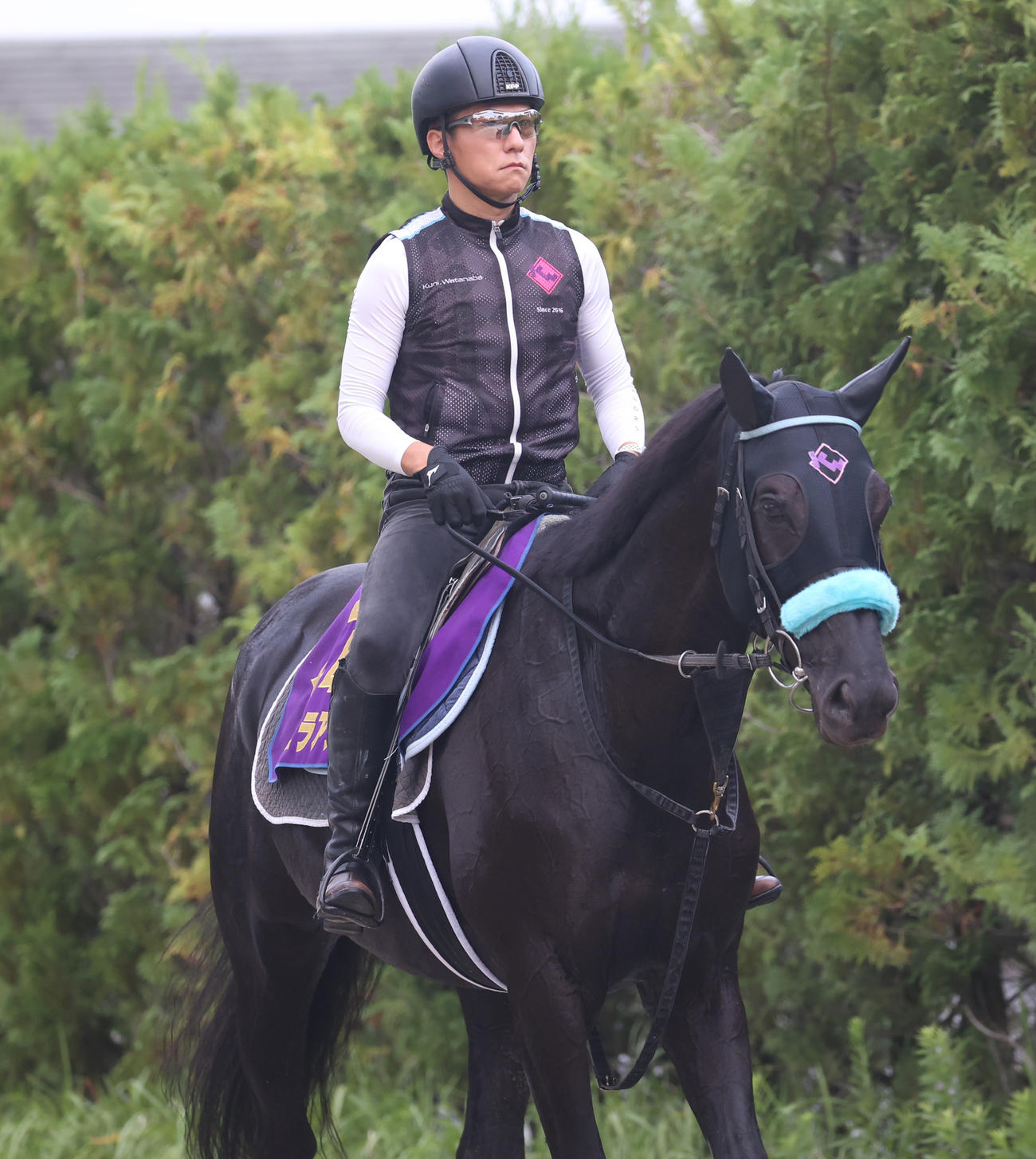 厩舎へ戻るヴェラアズール