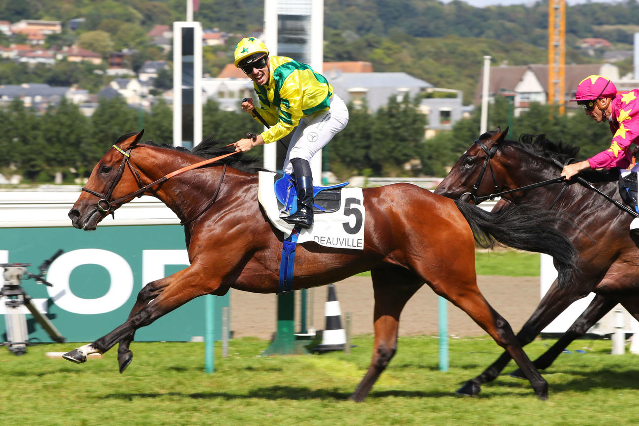 仏ダービー馬エースインパクト（C）scoopdyga