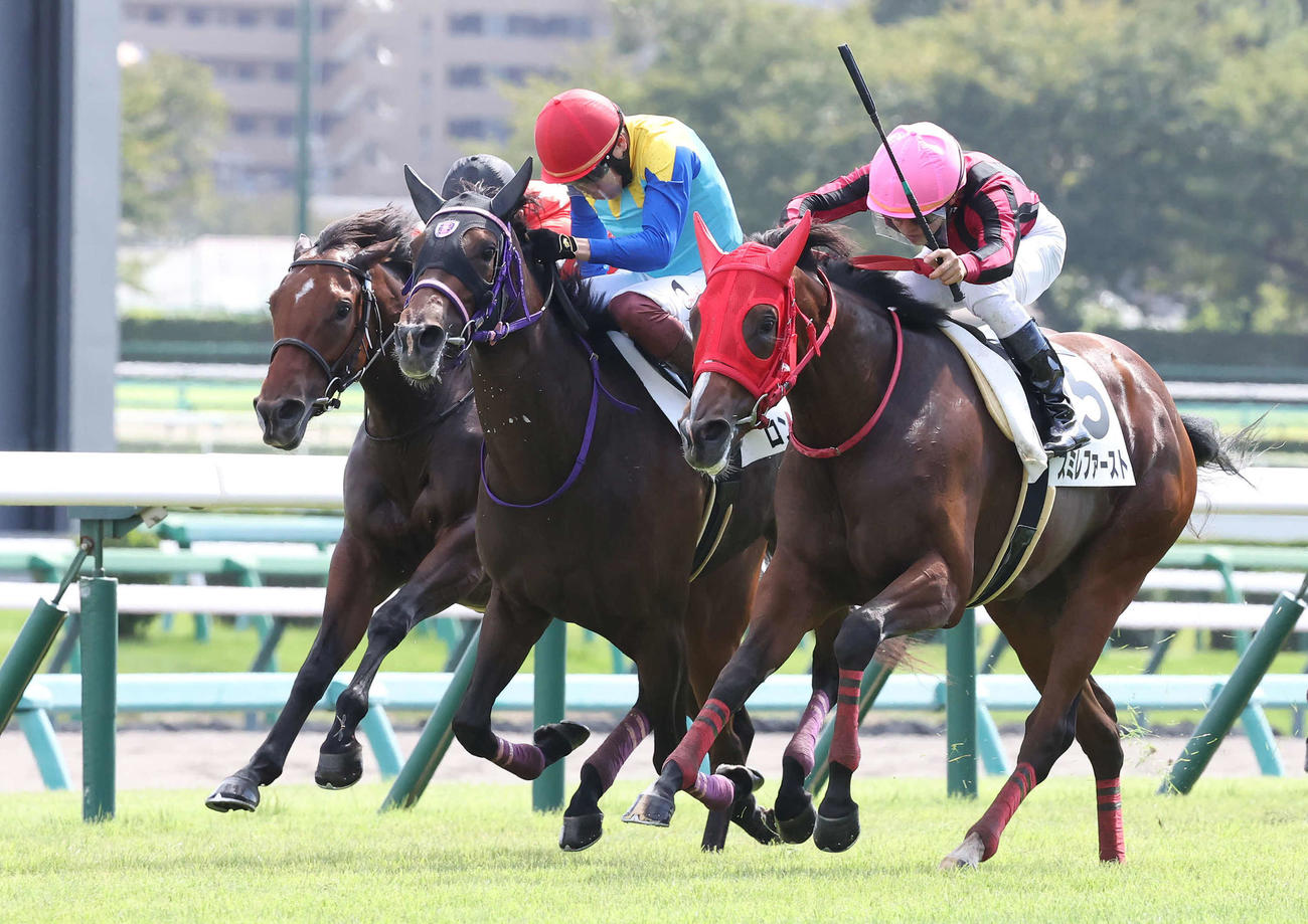 中山5R、スミレファースト（右）との競り合いを鼻差しのいで新馬戦を制したロンドンアームズ（中央）