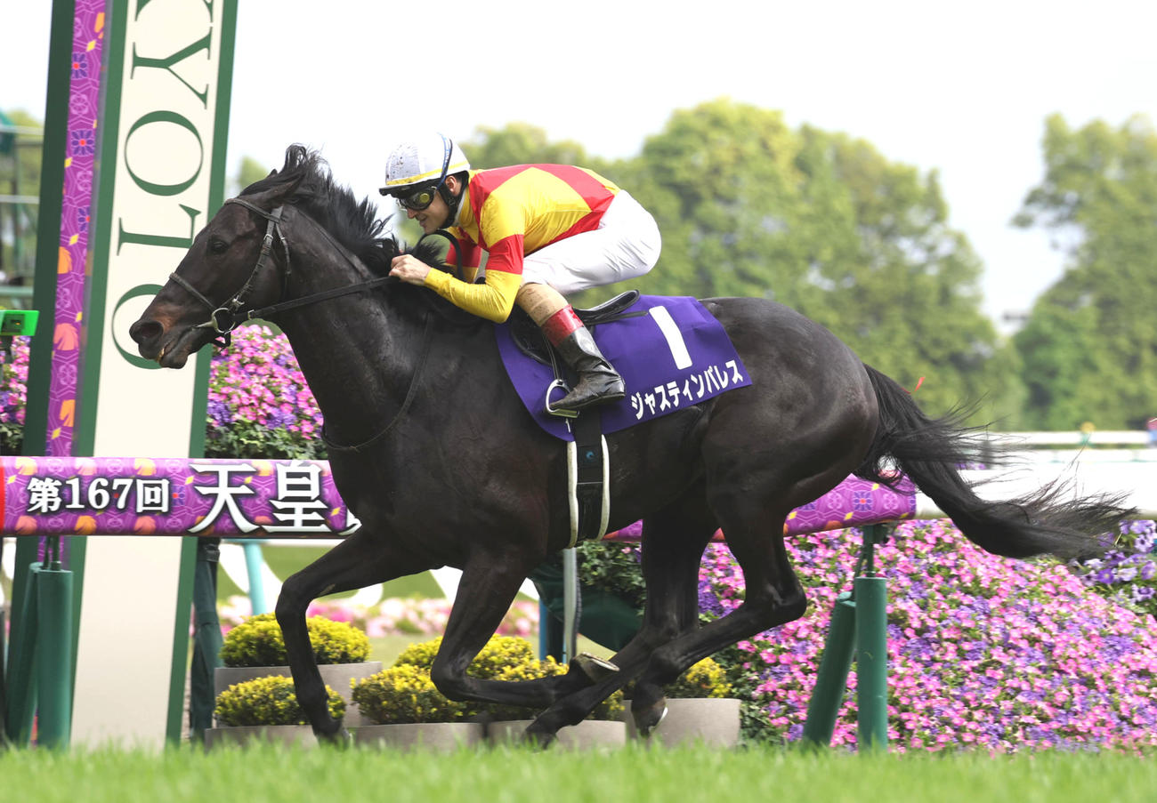 ジャスティンパレス（2023年4月30日撮影）