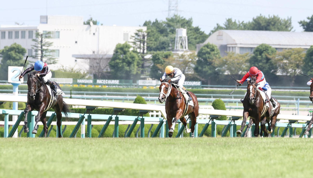 阪神5R、逃げ切って新馬戦を制したサイレント（左）（撮影・白石智彦）