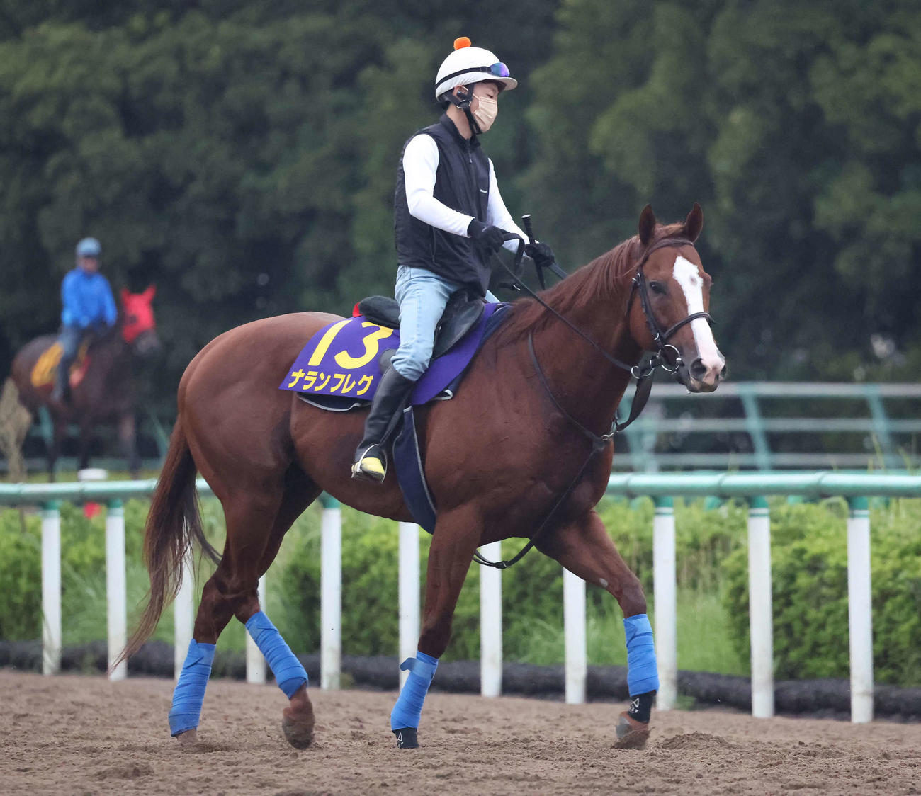 ナランフレグと丸田騎手（2023年9月27日撮影）