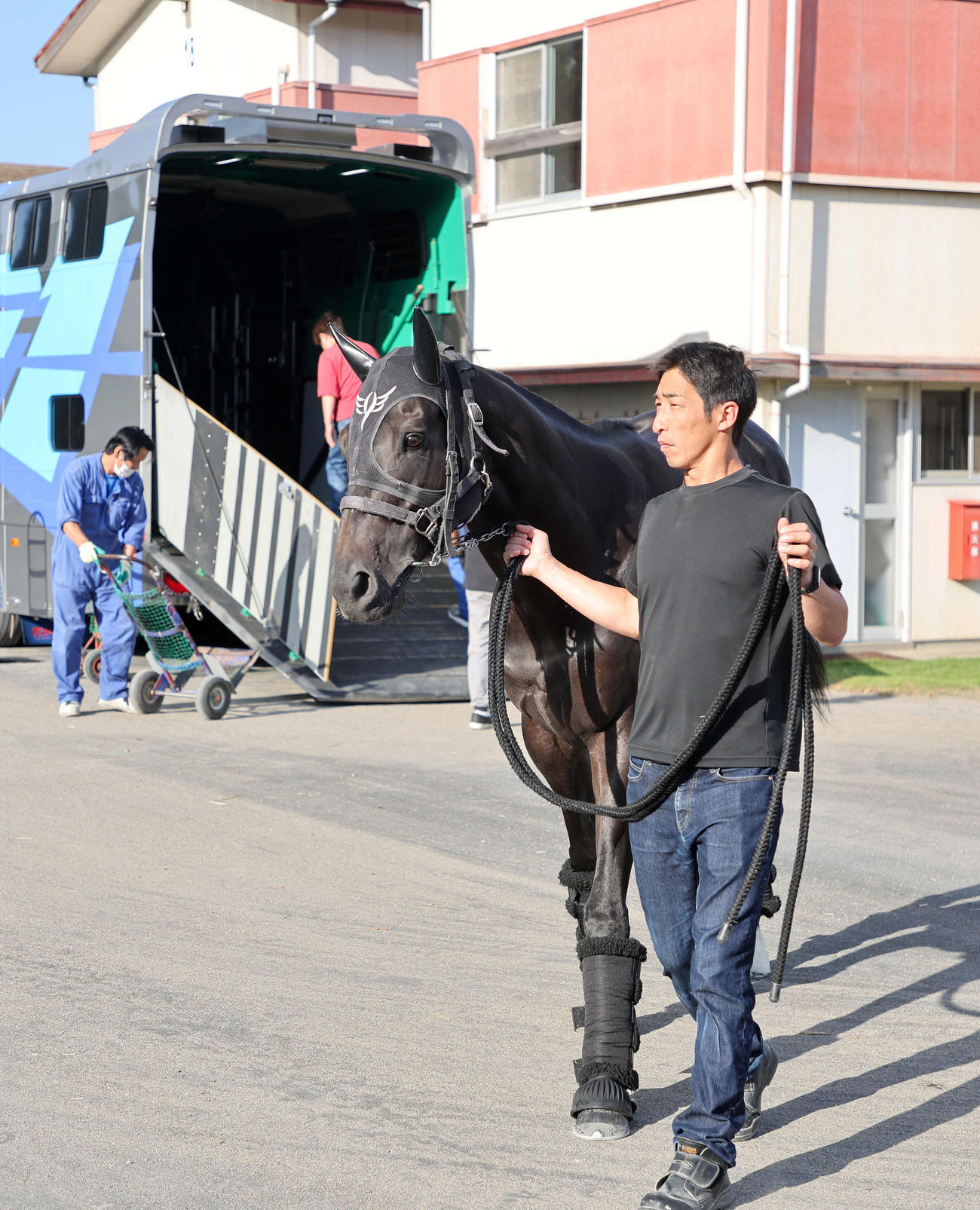 中山競馬場に到着したアグリ（撮影・鈴木正人）