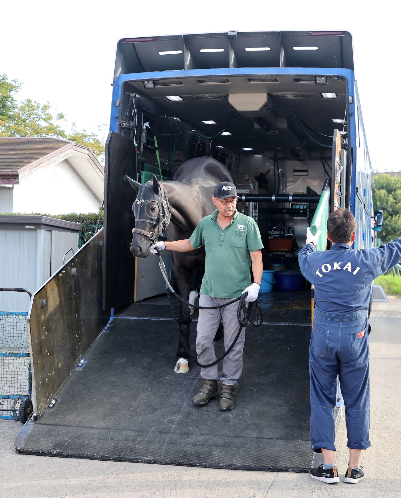 中山競馬場に到着したナムラクレア（撮影・鈴木正人）