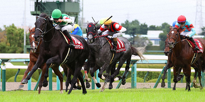 直線で鋭く伸びて京都大賞典を制したヴェラアズール（左）（撮影・白石智彦）