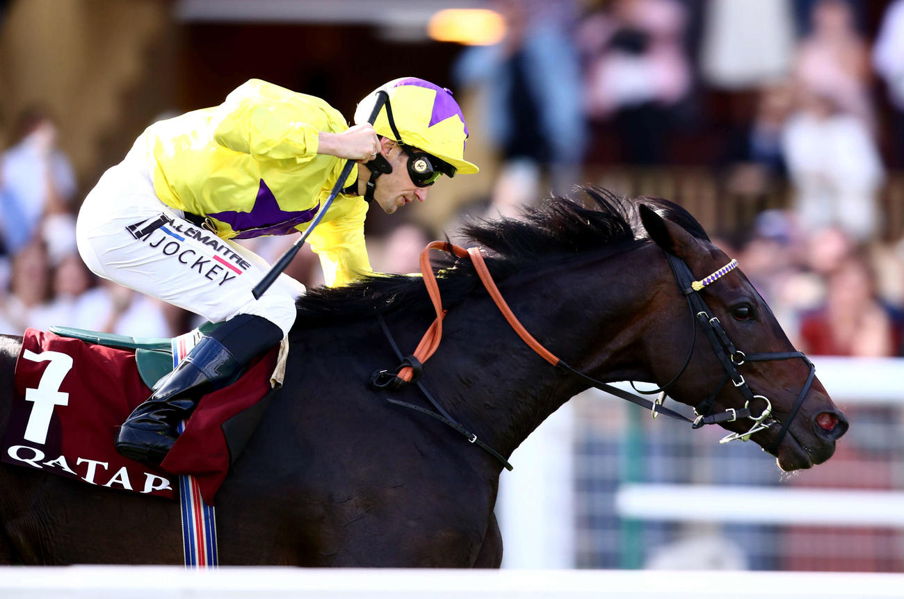 凱旋門賞前日のG1ロワイヤリュー賞を制したシーシルクロード（C）france－galop