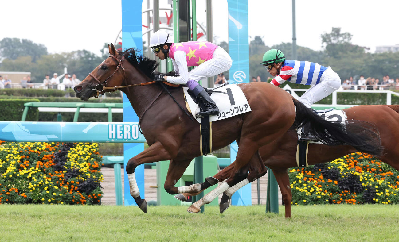 中山3R、2歳新馬戦を制したジューンブレアと武豊騎手（撮影・丹羽敏通）