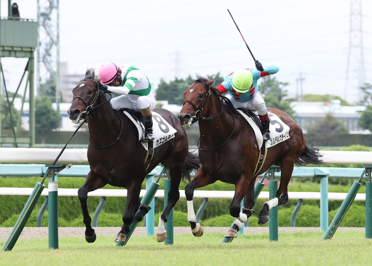 カズゴルティス（左）が新馬戦を制した（撮影・白石智彦）