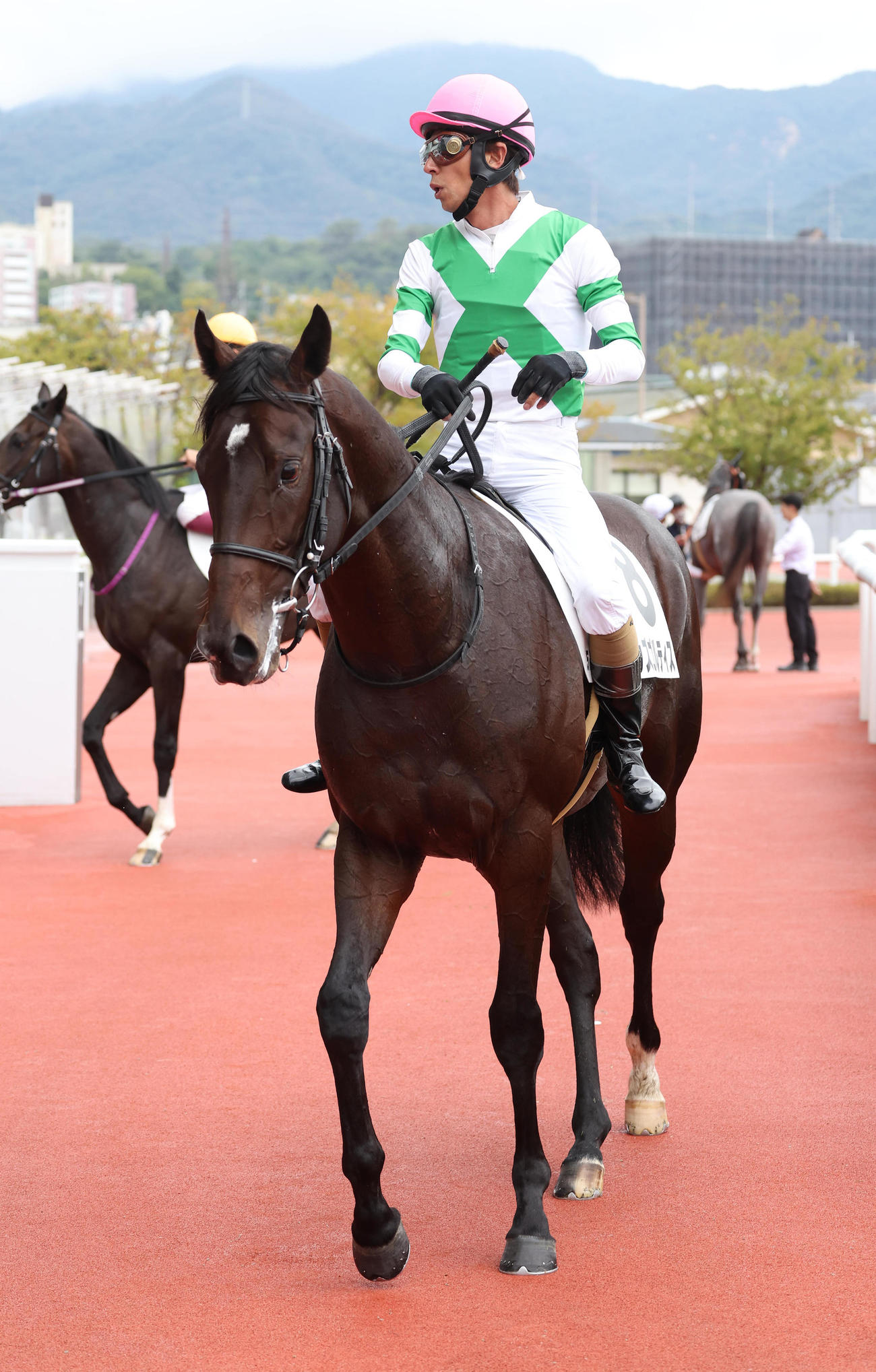 阪神5R、新馬戦を制したカズゴルティス（撮影・白石智彦）
