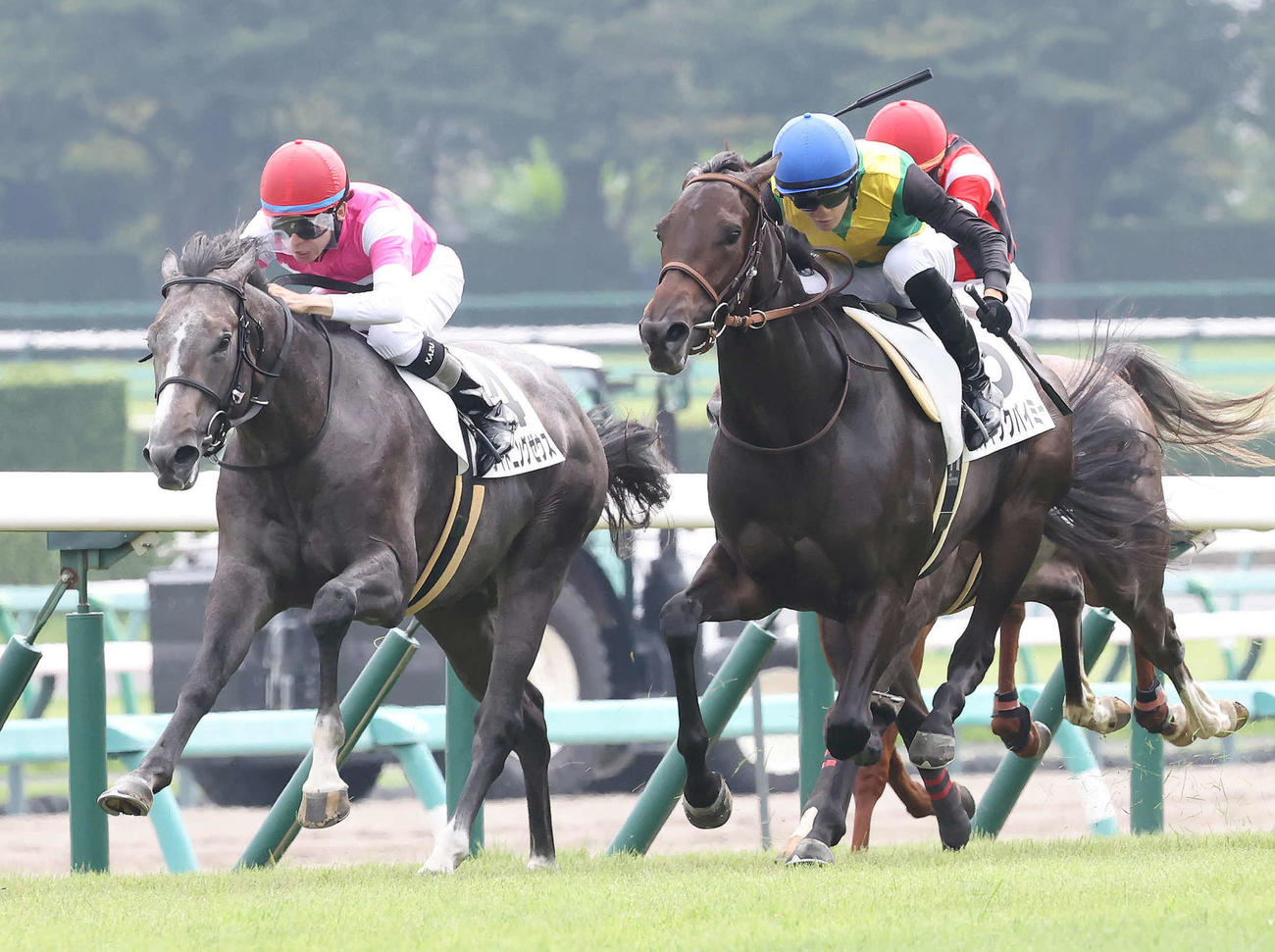 中山5R、2歳新馬戦を制したスティックバイミーと坂井騎手（右）（撮影・丹羽敏通）