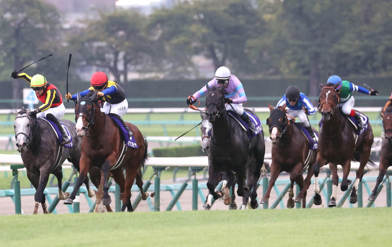 スプリンターズS5着に敗れたメイケイエール（右端）。左から2頭目は勝ったママコチャ（撮影・鈴木正人）