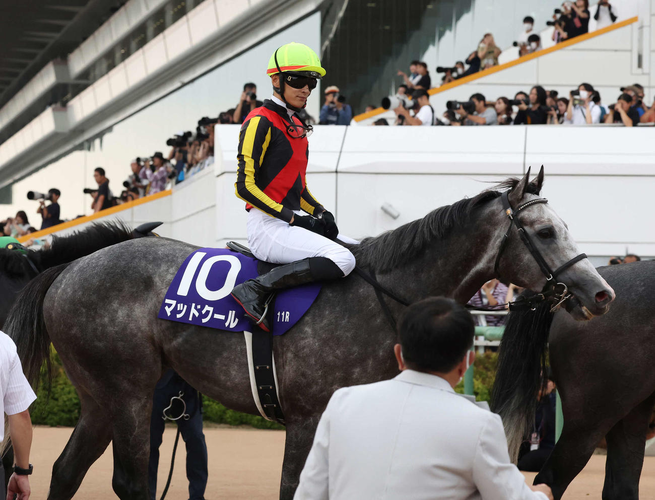 スプリンターズSで2着になったマッドクールと坂井騎手（撮影・丹羽敏通）