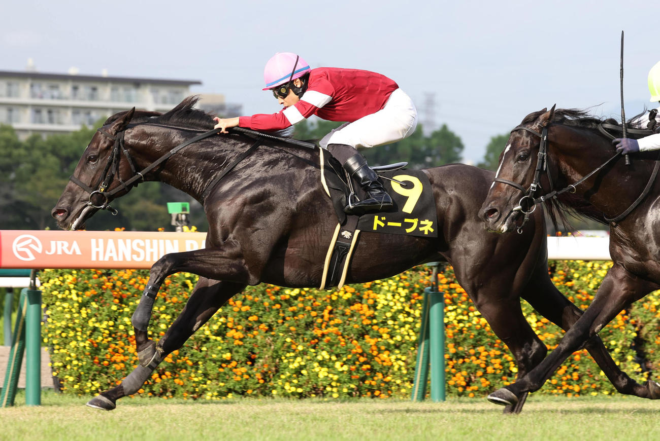 直線抜け出してポートアイランドSを制したドーブネ（撮影・白石智彦）