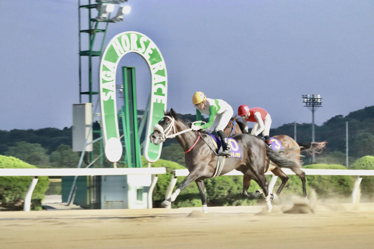 ネクストスター佐賀を勝利したウルトラノホシと石川倭騎手
