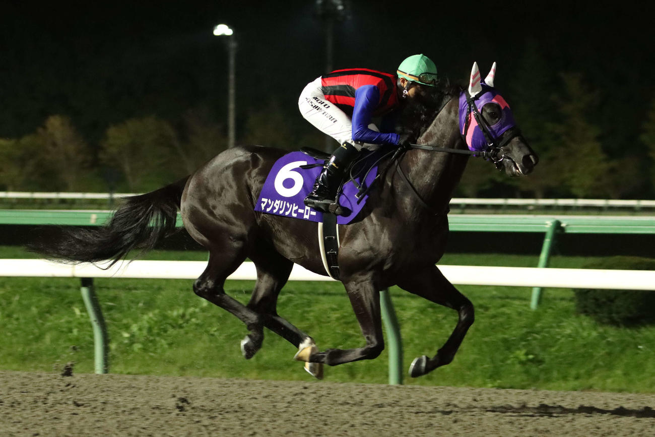 ダービーグランプリ（M1）　返し馬を行うマンダリンヒーローと吉原寛人騎手