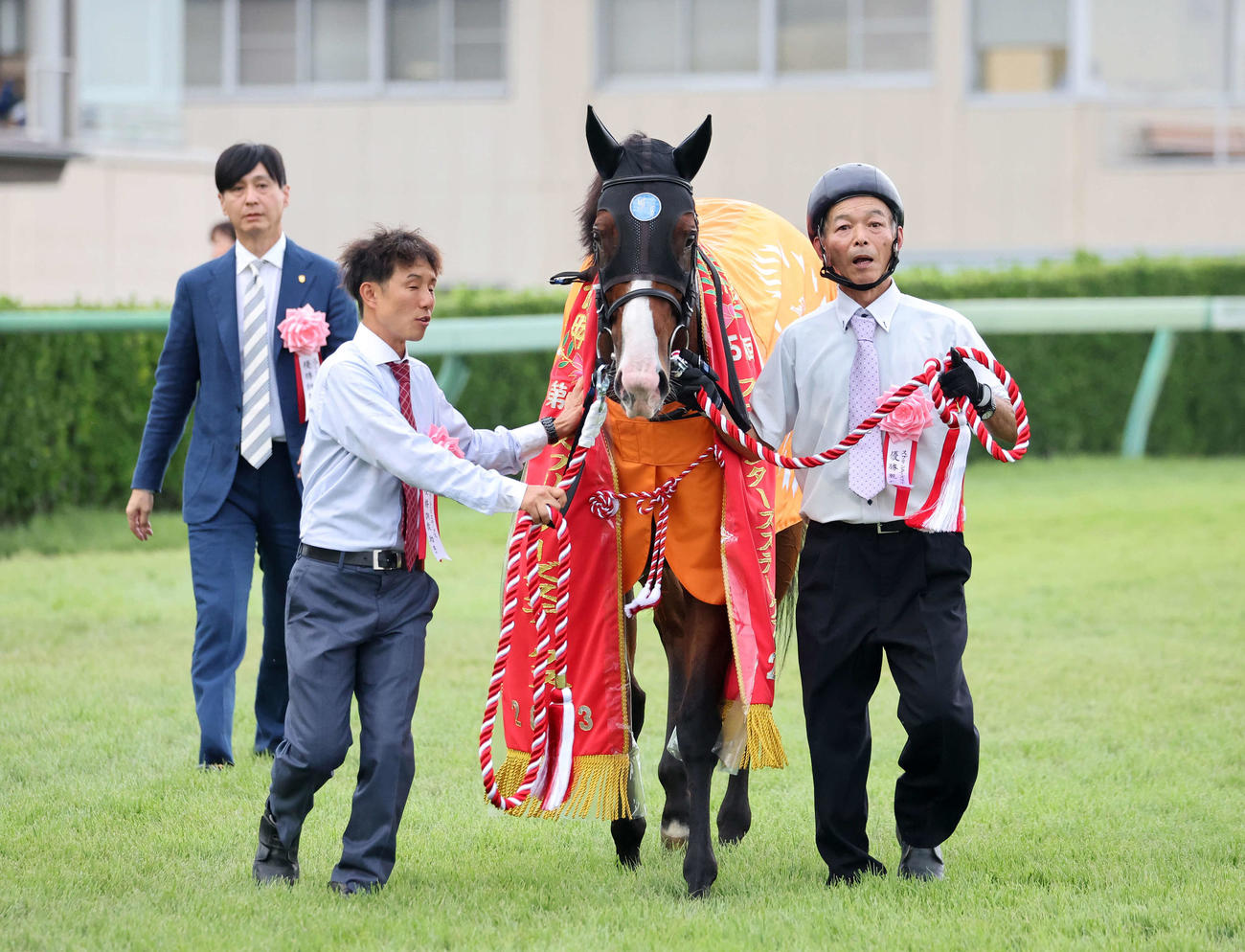 スプリンターズSを制したママコチャ（撮影・鈴木正人）