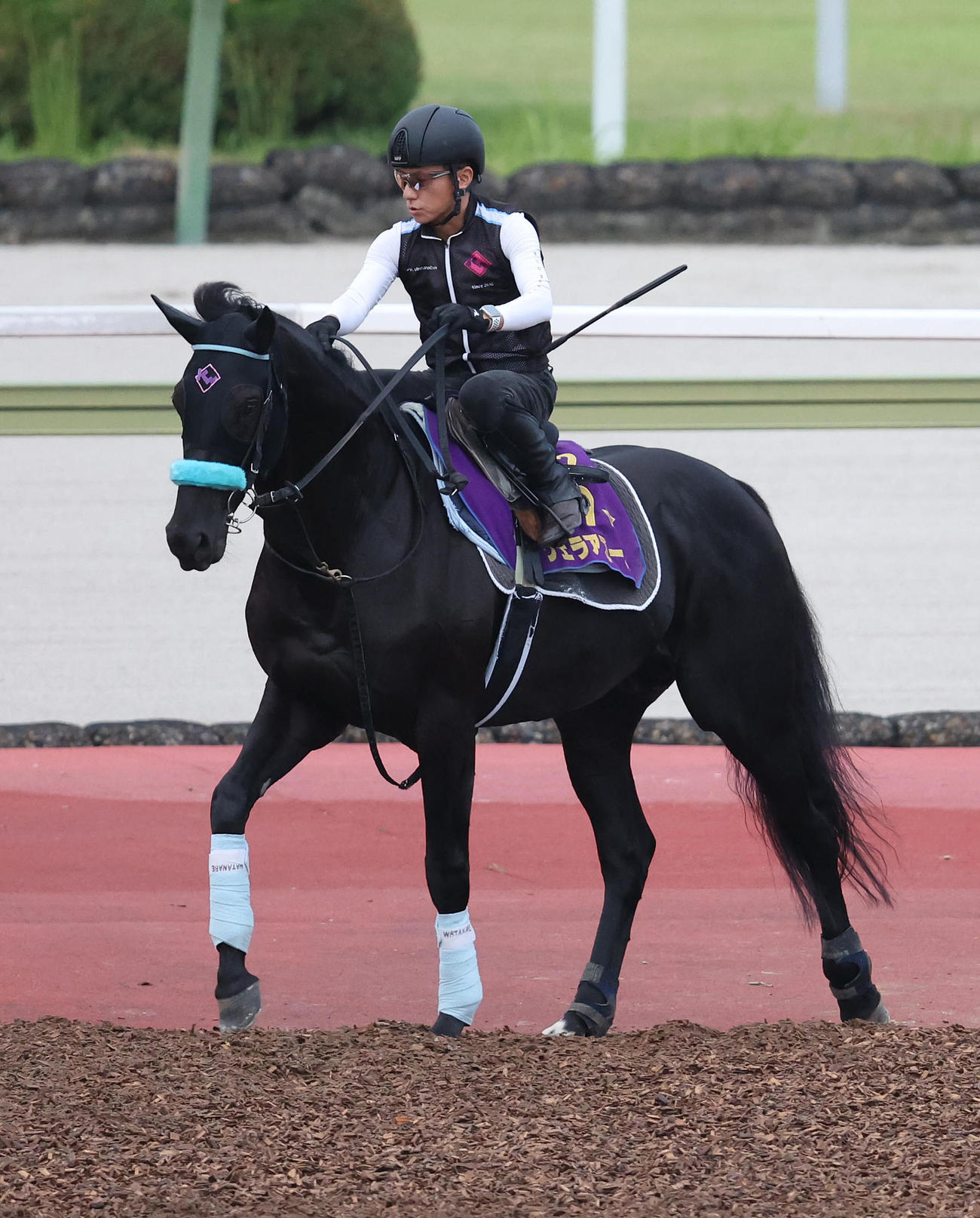 馬場入りするヴェラアズール（2023年9月28日撮影）