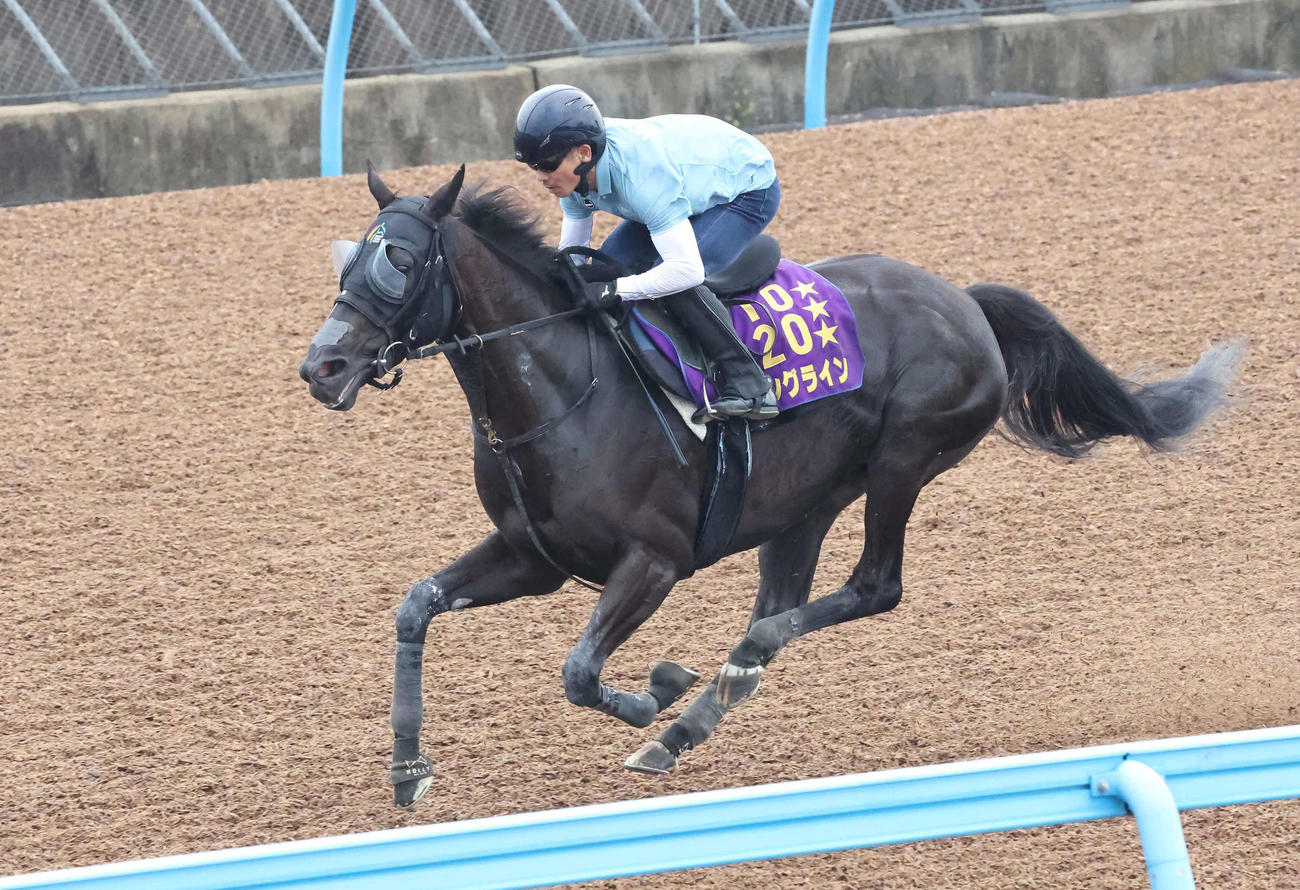 9月27日、戸崎騎手を背に美浦ウッドを力強いフットワークで駆け抜けたソングライン